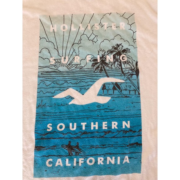 Hollister Co. SIZE Large 2 T-Shirt Lot - Excellent Condition - Picture 3 of 9